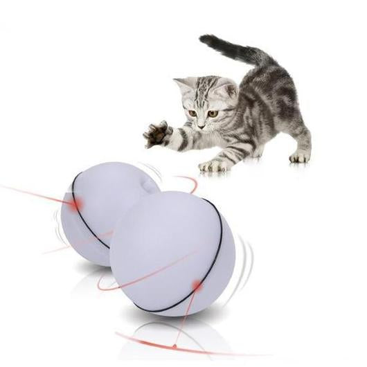 Magic LED Laser Ball for Cats